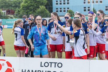 Bild 131 - wBJ Hamburger SV - FC Suederelbe : Ergebnis: 9:0